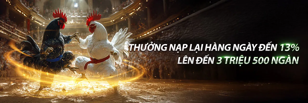 Xem gà đá trực tiếp Thomo gay cấn tại Shbet88